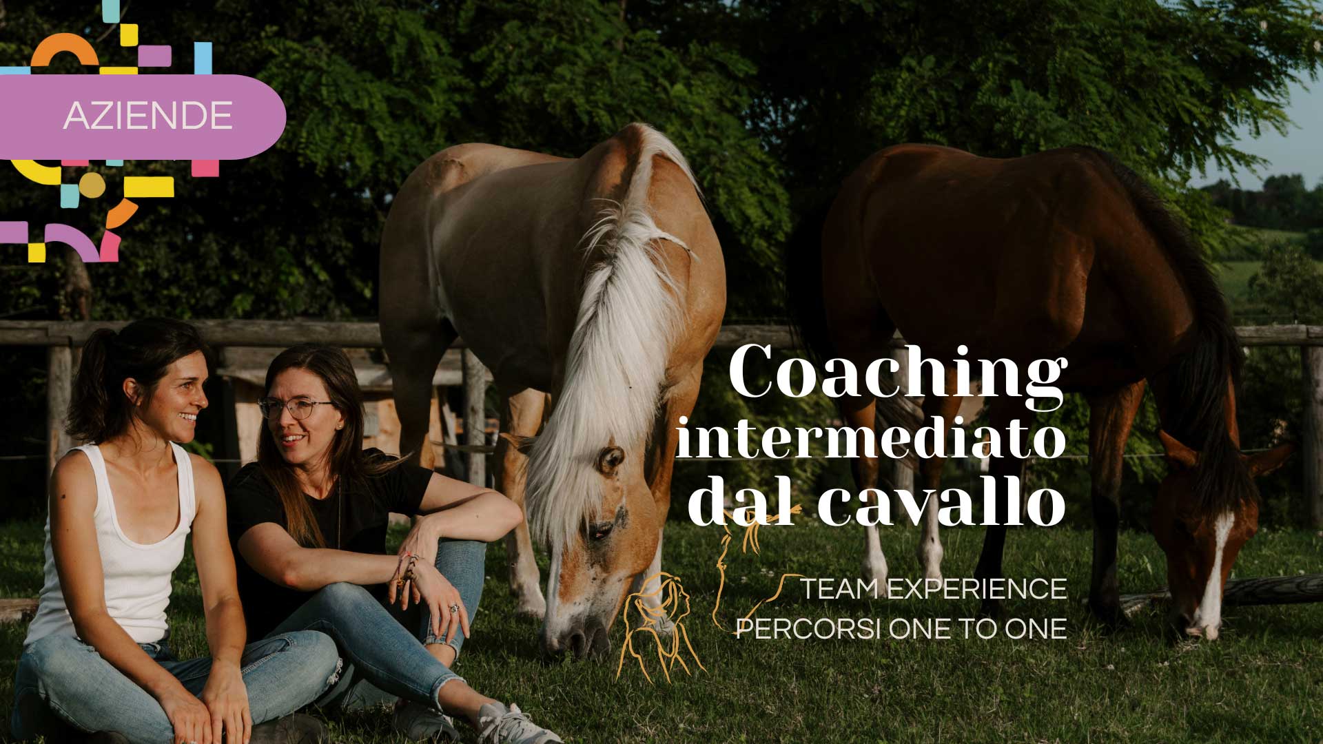 coaching intermediato dal cavallo selena buso executive e career coach