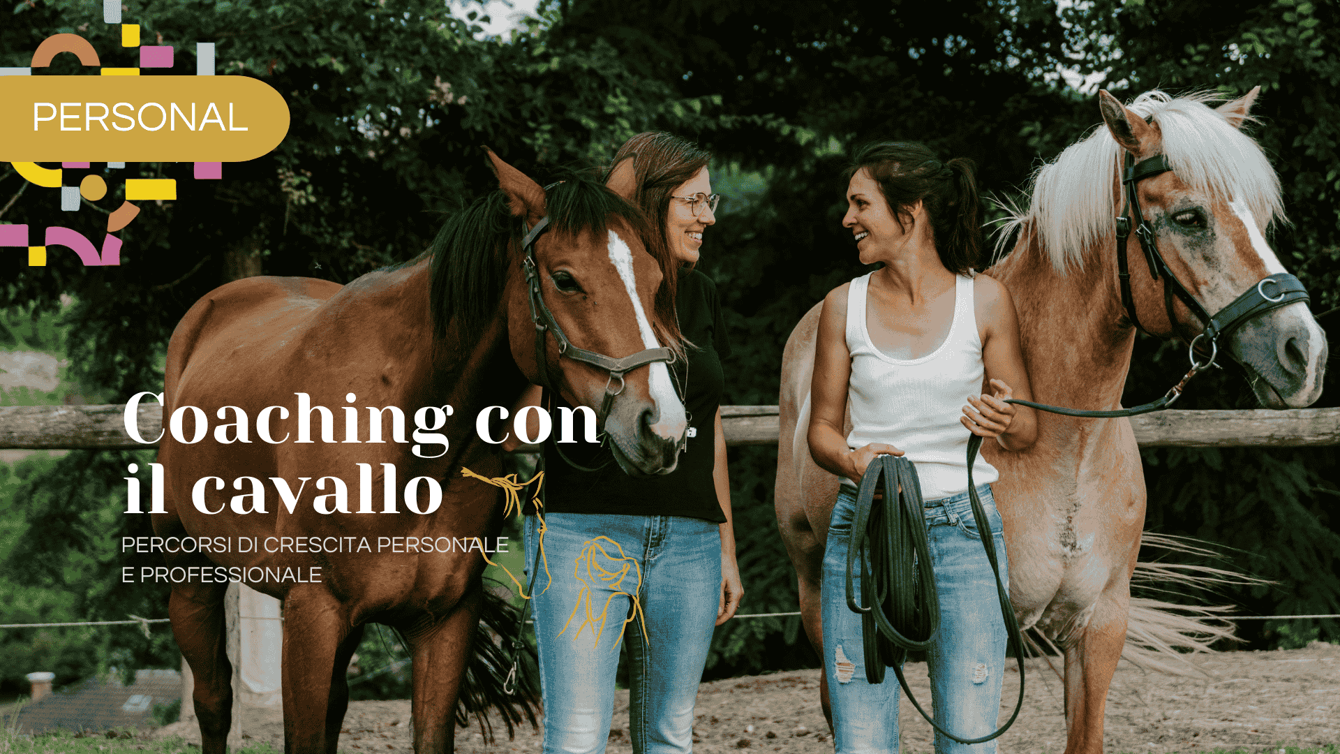 personal coaching con il cavallo selena buso executive e career coach